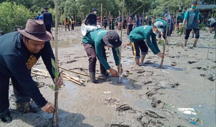 Cegah Abrasi, Dompet Dhuafa Volunteer Aksi Tanam Pohon