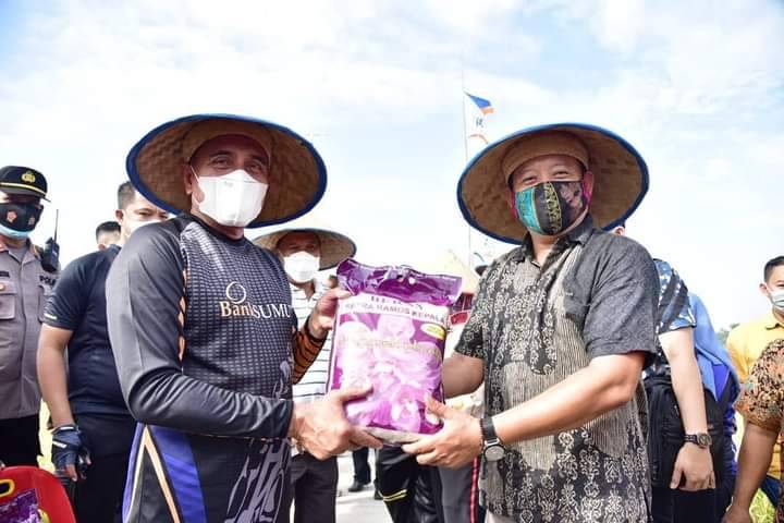 Gubsu dan Bupati Deliserdang Kunjungi Agrowisata Binaan Bank Sumut