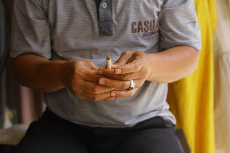 Gayo tak Hanya Kopi, Tembakau Hijau 'Ganja' jadi Perhatian