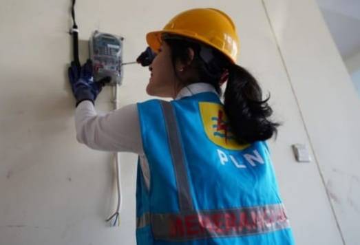Rumah Inspirasi Indonesia Pertanyakan Kelayakan Teknik dan Ekonomis Sub Holding PLN