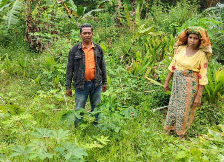 Dewan Temukan Program PT. AR Gagal Total di Tapsel