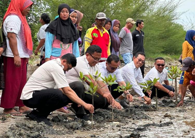 Partai Gerindra Tanam Manggrove Bersama Ormas Tani dan Nelayan Sumut