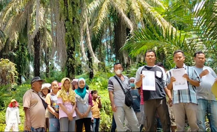 ASN Pemkab Langkat Tipu Kelompok Tani Hingga Rp 80 Juta