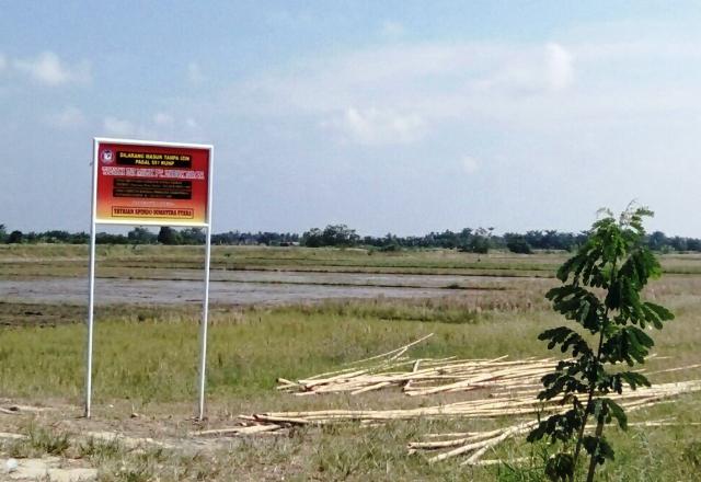 Sengketa Lahan Proses di MA, Massa Gapoktan Naga Jaya & PT Lubuk Naga Nyaris Bentrok