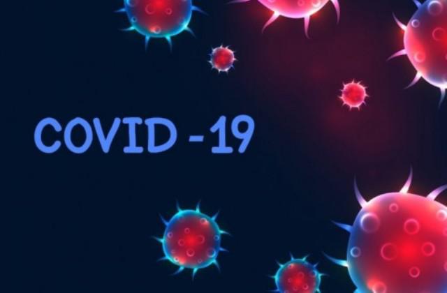 Pemerintah Harus Fokus Revisi Anggaran Untuk Cegah Covid-19