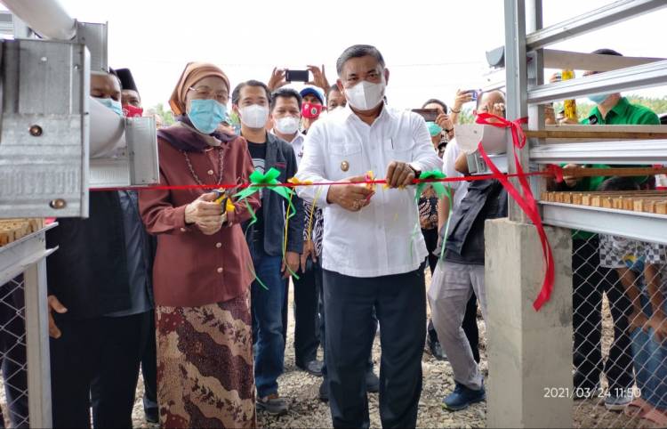 Wakil Bupati Deliserdang Resmikan Sentra Ternak Dompet Dhuafa di Hamparan Perak