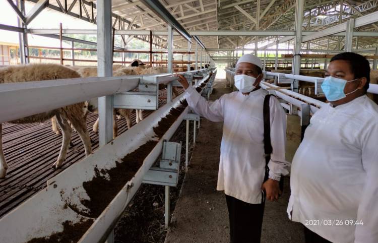Anggota DPD RI Apresiasi Sentra Ternak Dompet Dhuafa Waspada di Hamparan Perak