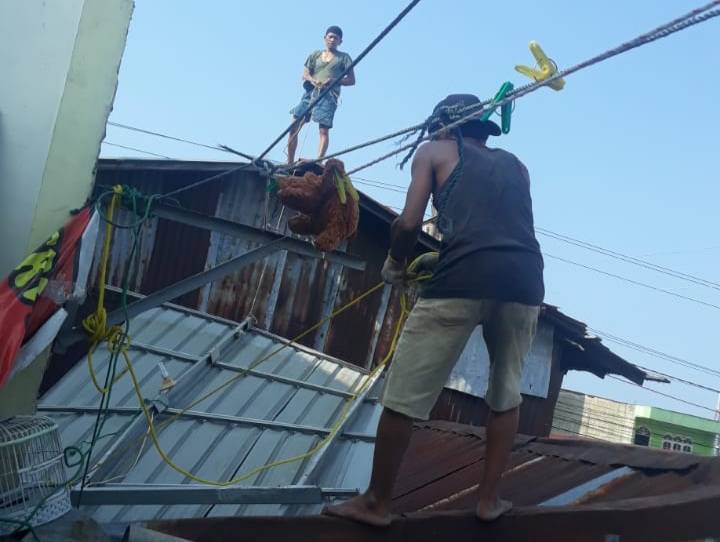 Pemko Medan Tidak Peduli Rumah Relawan Jokowi Diterjang Puting Beliung