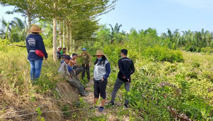 Ada Acin di Hutan Mangrove Langkat