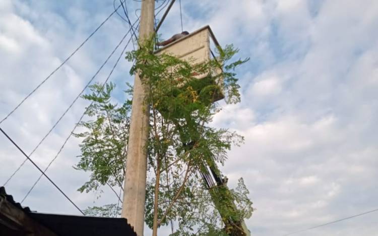 Warga Medan: Terima Kasih Pak Irsan Dongoran