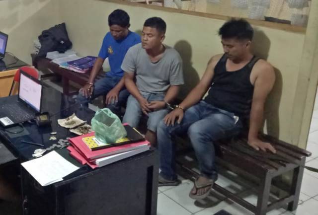 Polres Dairi Amankan Tiga Pengisap Ganja