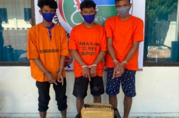 3 Warga Percut Sei Tuan Ditangkap Bawa Ganja 20 Kg dari Tapsel