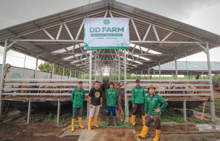  Dompet Dhuafa Ajak Masyarakat Berkurban di Tengah Pandemi