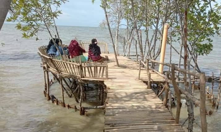 Pantai Bumi Mangrove Sederhana Namun Memesona
