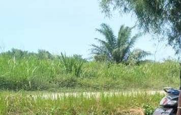 46 Hektare Lahan Eks HGU Dikuasai Anggota Ormas Terbesar di Sumut