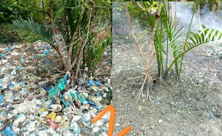 KTH Bakti Nyata Kebut Sampah di Pantai Bumi Mangrove