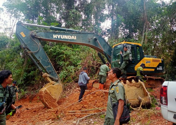 BPPHLHK Sumatera Surati 5 Terduga Pelaku PETI di Kawasan TNBG Madina