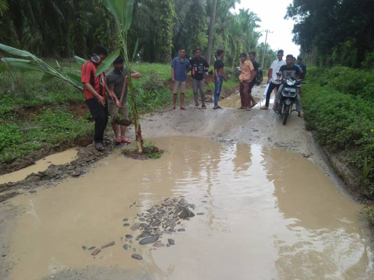 Terjadi di Asahan: Pak Presiden Tolong Perbaiki Jalan Kami Sudah Bertahun Rusak