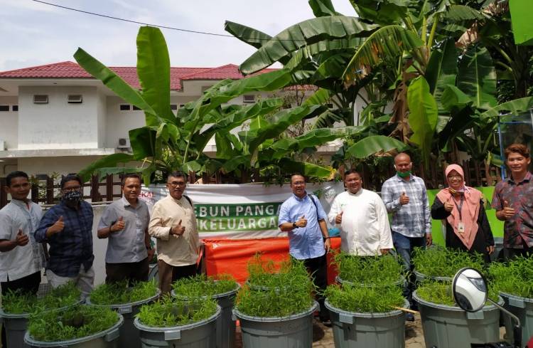 Kebun Pangan Dompet Dhuafa Waspada Semakin Diminati Warga