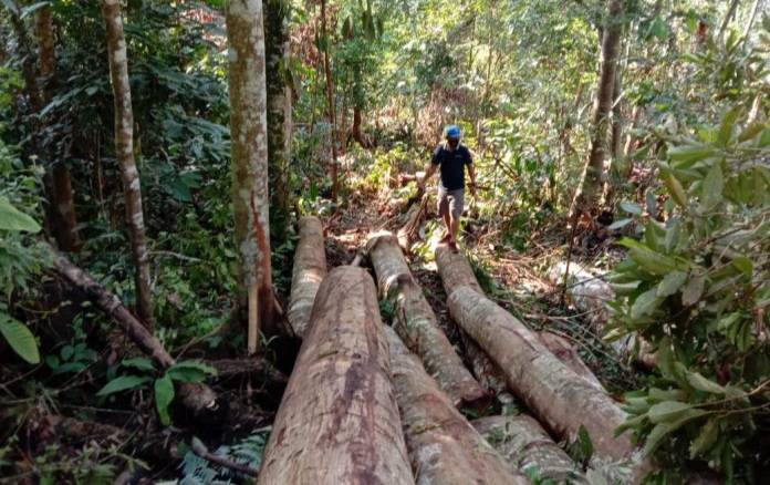 DPRD Palas Jangan Abaikan Keputusan Bersama 20 Desa Tolak Perambahan Hutan