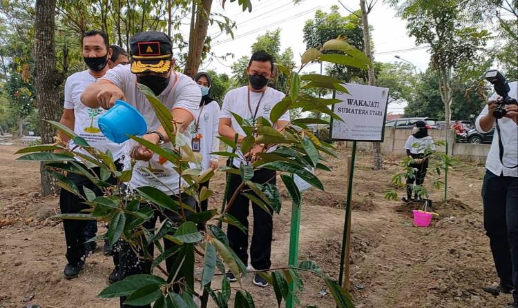 Sambut HBA ke 61, Kejati Sumut Tanam 1000 Pohon di Lahan Eks HGU