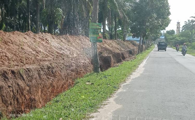 Edi Susanto Ritonga Berang, PTPN3 Membangmuda Gali Parit "Gajah"