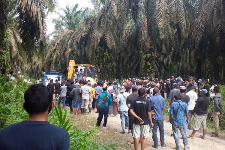 Hari ketiga Reklaiming, PT. Tolan Tiga Indonesia "Sekap" Kelompok Tani Bersatu