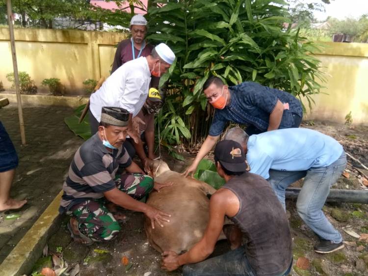 PWI Langkat Dapat Hewan Kurban dari Mantan Bupati