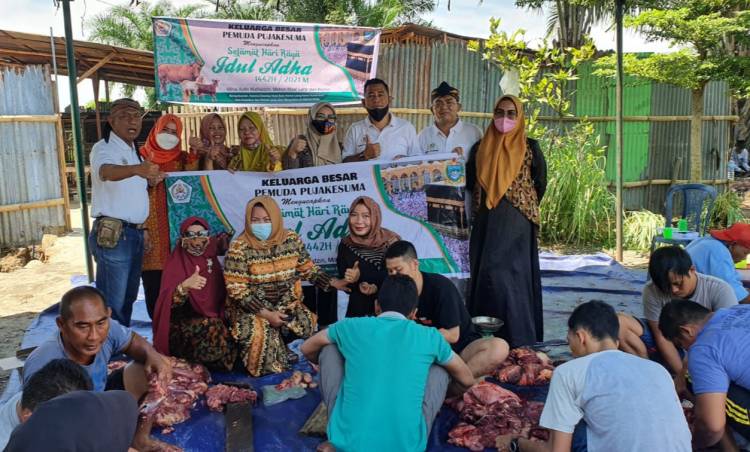 Gubsu dan Istri Serta Mbak Fauzi Sumbang 2 Ekor Hewan Kurban ke Pemuda Pujakesuma