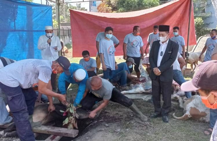 Idul Adha 1442 H, Bank Sumut Sembelih 19 Ekor Hewan Kurban