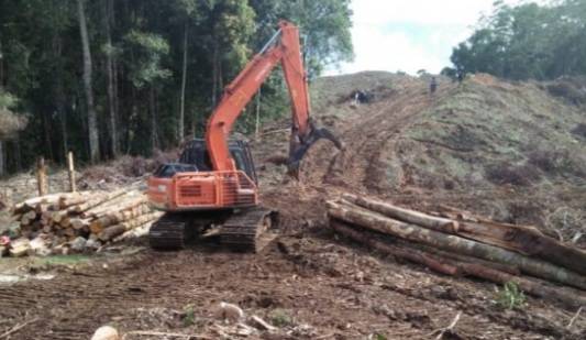 Kuasa Ilegal di Kawasan Danau Toba, Menteri LHK Harus Cabut Izin PT. TPL