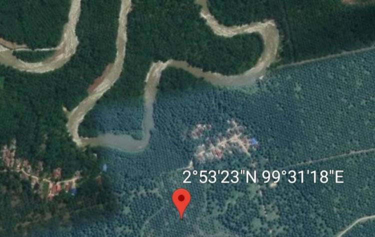 Temuan Terbaru: PTPN3 Kebun Pulau Mandi Diduga Alih Fungsi Rawa dan  Anak Sungai
