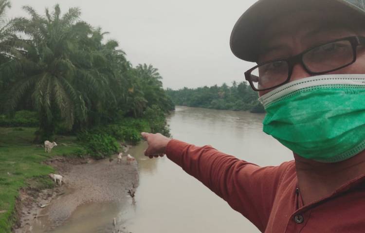 LKLH Sumut Desak Wilmar Identifikasi Pasokan Buah Sawit PTPN3