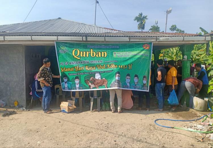 GP Ansor Sembelih 1 Ekor Sapi dan 4 Ekor Kambing