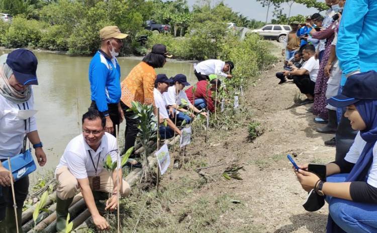 PT. PNM dan KTH Bakti Nyata Tanam Mangrove: Merawat Bumi, Menjaga Kelangsungan Hidup 