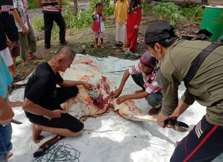 PRM Tangkahan Bagikan Daging Kurban Kepada Anggota dan Masyarakat