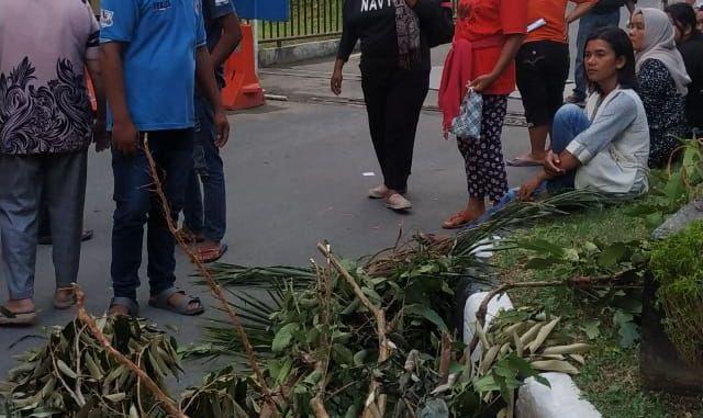Masyarakat Penggarap Telaga Dingin Bawa Bukti Tanaman ke Polda Sumut