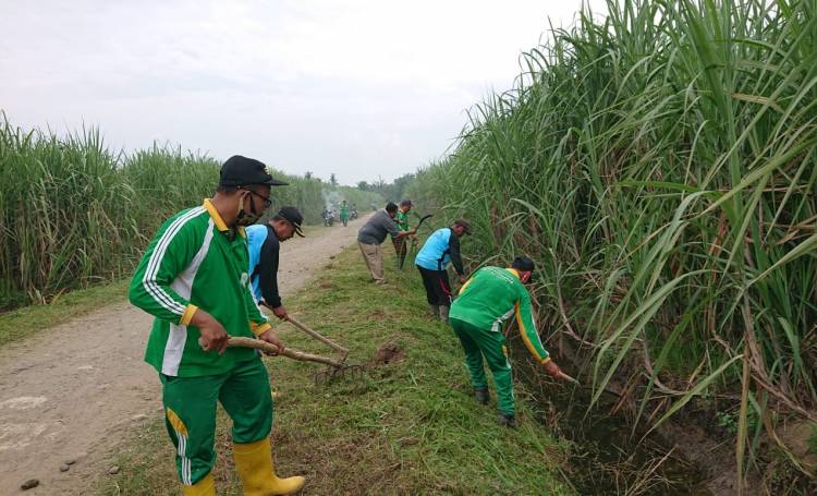 Warga dan Perangkat Desa Bulu Cina Gotong Royong Bersihkan Jalan