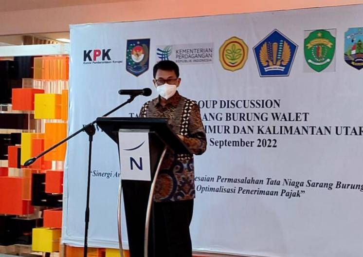 Potensi Kerugian Keuangan Daerah Rp 564 Miliar dari Sarang Burung Walet