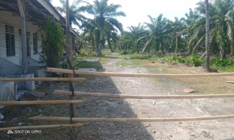 Sindikat Mafia Tanah Jual Kawasan Hutan Eks CV. CSA di Labura ke Masyarakat