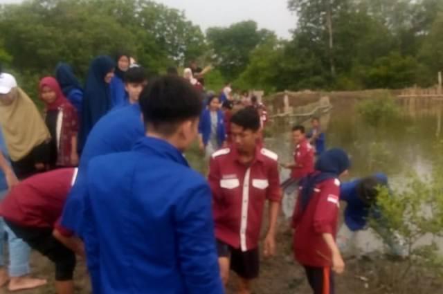 Mahasiswa UPU Medan Tanam Bakau di Bumi Mangrove