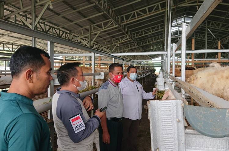 Camat Hamparan Perak Apresiasi Sentra Ternak DDW