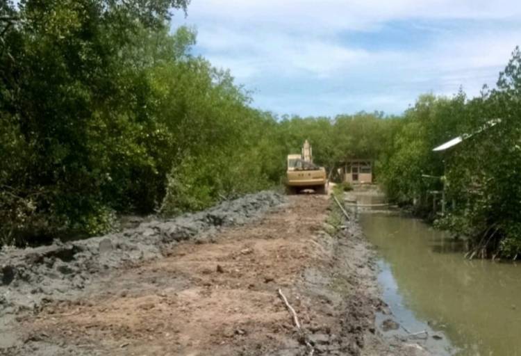 Apa Kabar, Perlindungan Hutan Mangrove?