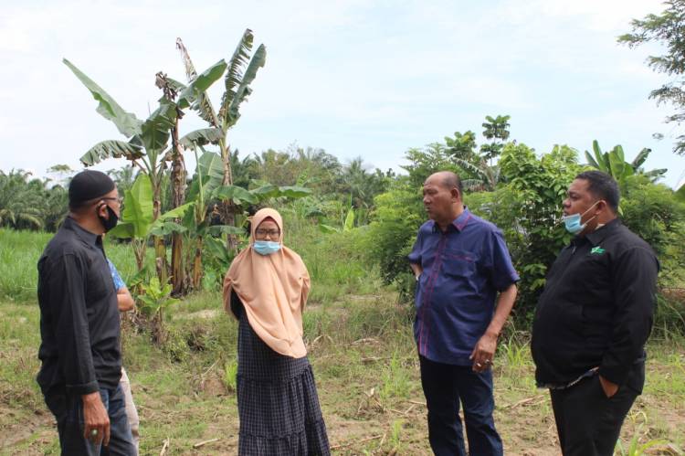 Wabup Langkat Rencanakan Bangun Sentra Ternak Terpadu Bersama DDW