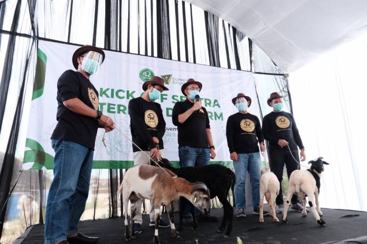 DDW Tunjuk Langkat Sebagai Wilayah Sentra Ternak