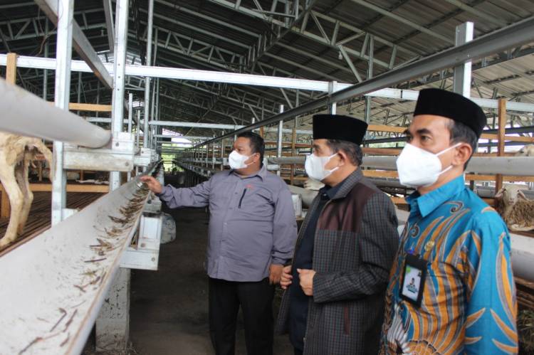 Kakanwil Kemenagsu Kunjungi Sentra Ternak Dompet Dhuafa Waspada
