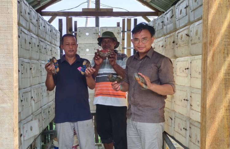 Kelompok Tani Hutan Bakti Nyata Kembangkan Budidaya Kepiting Sistem Apartemen 