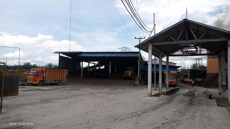 PMKS PT. Sawit Sumatera Perkasa Beroperasi Tanpa Izin