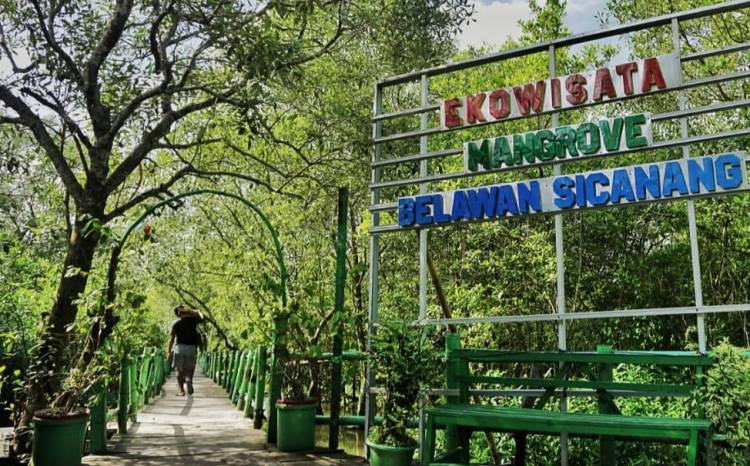 Ketua HUBASIBE Berharap Pemimpin Kota Medan Peduli Hutan Mangrove