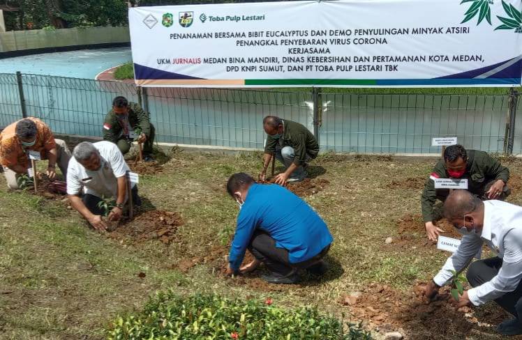 Taman di Kota Medan Akan Ditanami  Eucalyptus Anti Corona